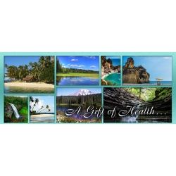 Nature Views Gift Certificate